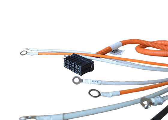 ISO 22 AWG 12 Pin New Energy Vehicle Wiring Harness