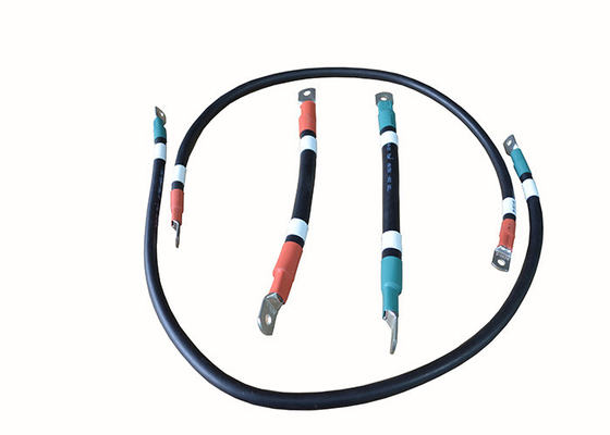 750V 300mm 70mm² New Energy Vehicle Wiring Harness