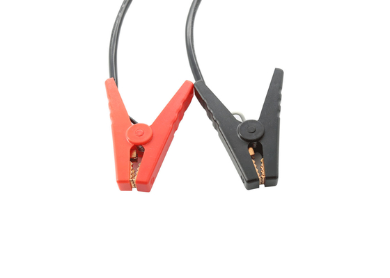 2 Cores 1000mm New Energy Vehicle Wiring Harness