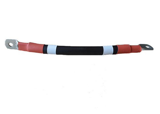 Cold Pressed Terminal Connect 300mm Electronic Wire Harness
