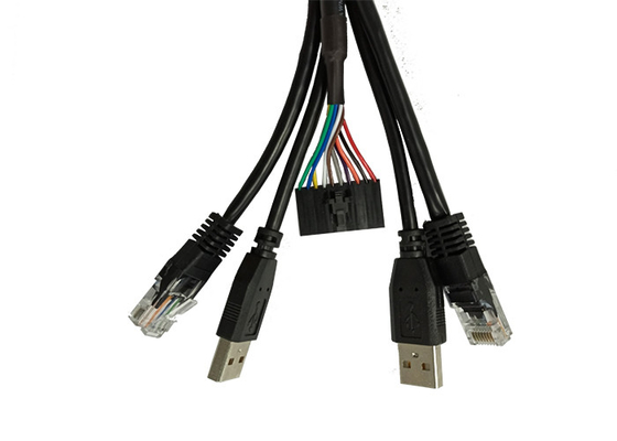 10 Pin 1.0mm Pitch RJ45 USB Networking Wire Harness